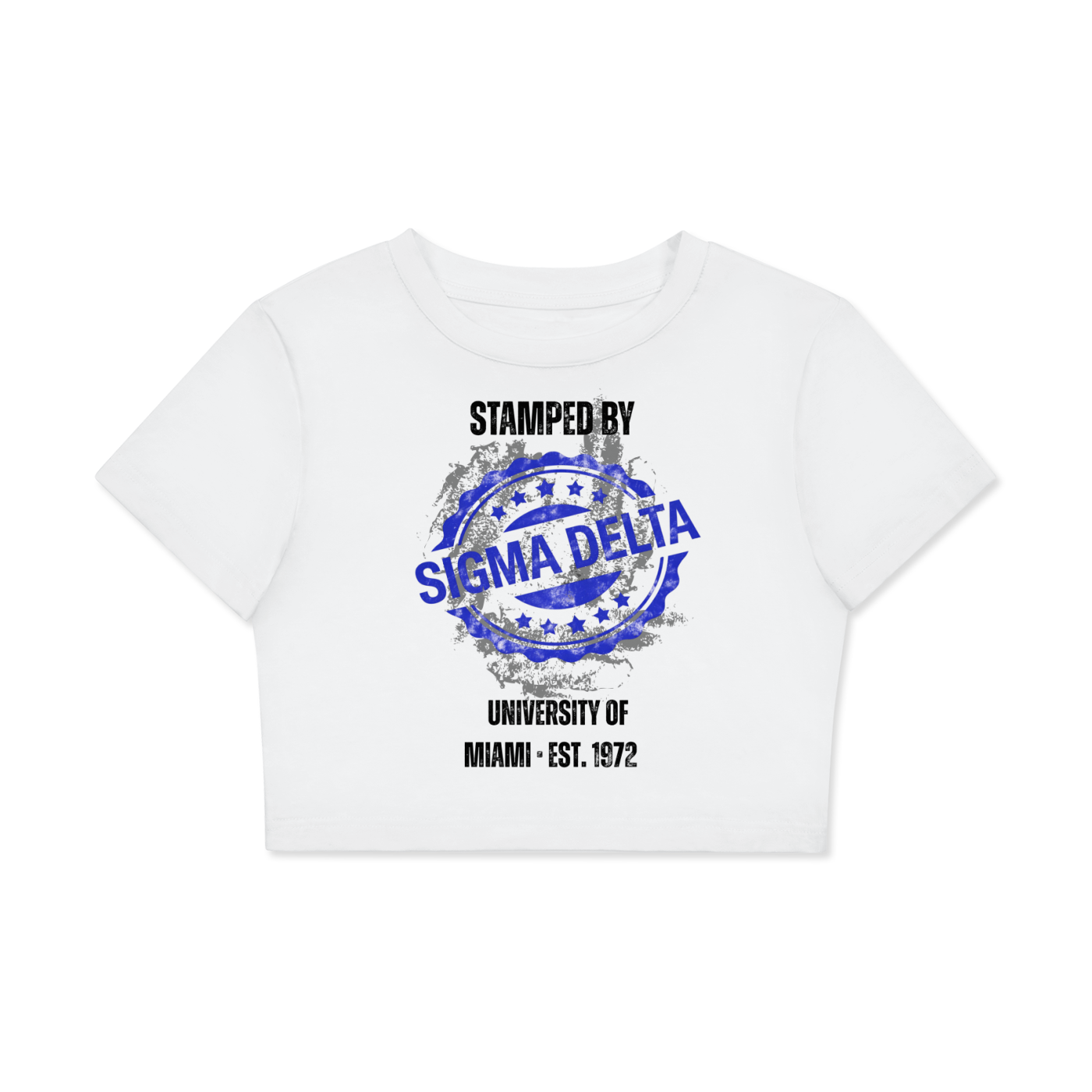 Chapter Crop Top - READ DESCRIPTION!!!